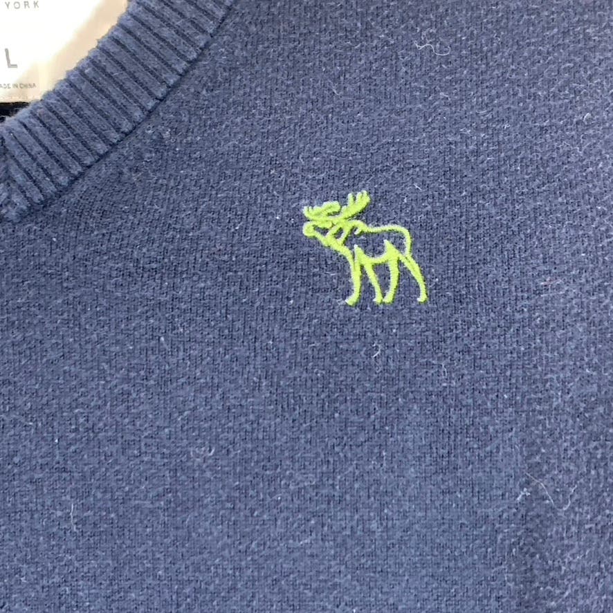 ABERCROMBIE & FITCH Men's Navy V Neck Wool/Cashmere Blend Pullover SZ L