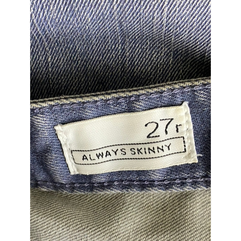 GAP Women's Blue Michigan 1969 Denim Always Skinny Five-Pocket Regular Jean SZ27