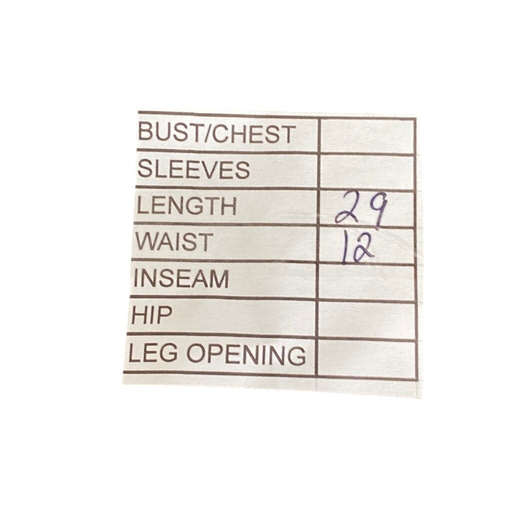 SANDEZE ROBERTS Women's Aqua Blue Embroidered Vintage Swing Midi Skirt SZ 16