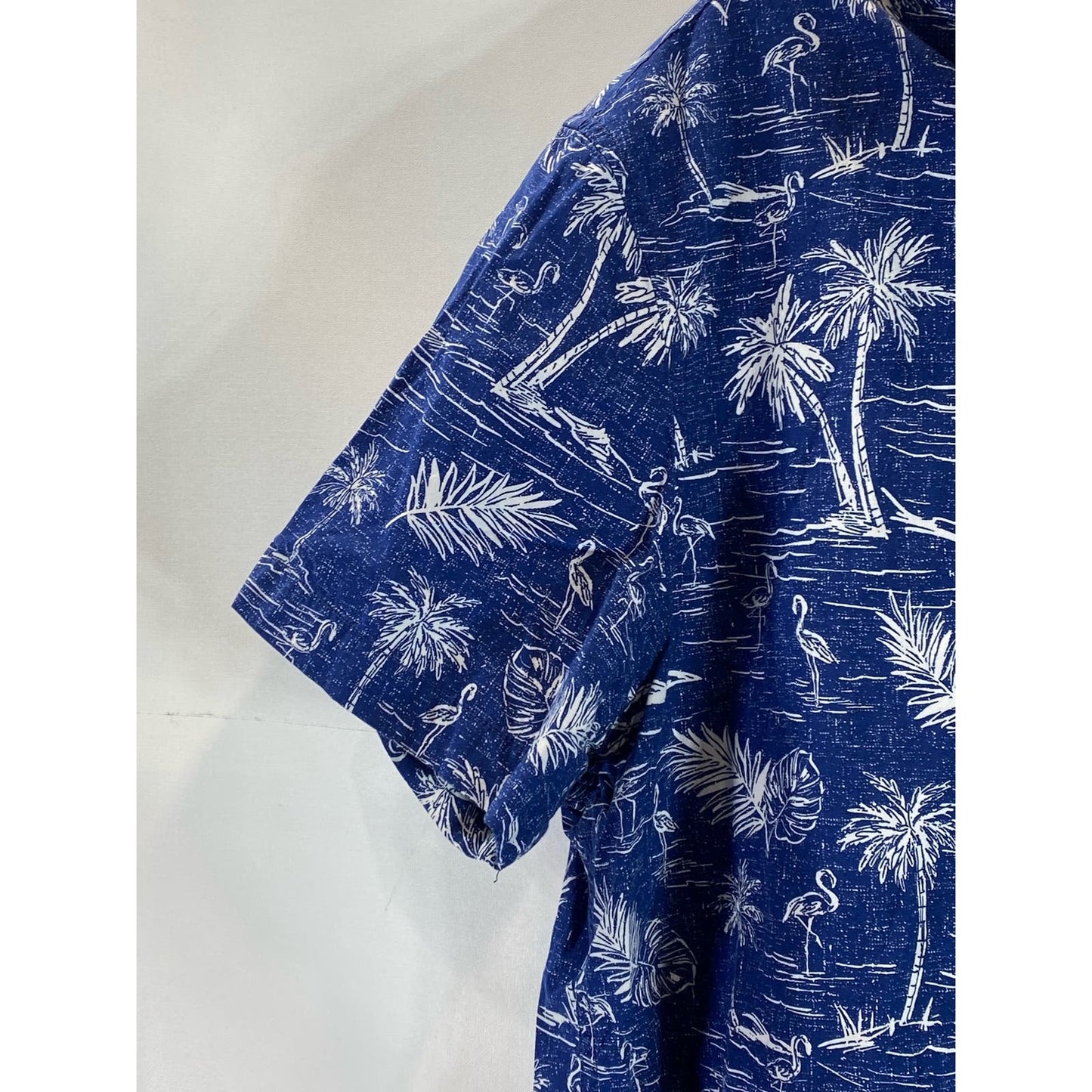 AMERICAN EAGLE Men's Blue Palm Tree Graphic Regular-Fit Button-Up Shirt SZ L