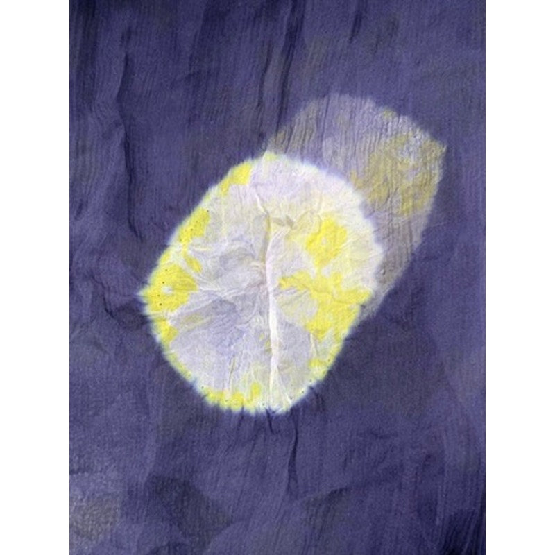 UNBRANDED Women’s Navy-Yellow Circle Sheer Scarf