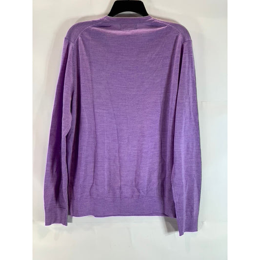 BANANA REPUBLIC Men's Purple V-Neck Merino Wool Pullover Sweater SZ L