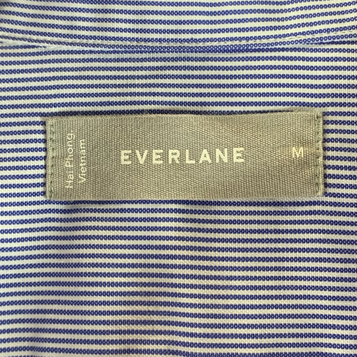 EVERLANE Men's Blue Striped Button-Up Long Sleeve Shirt SZ M