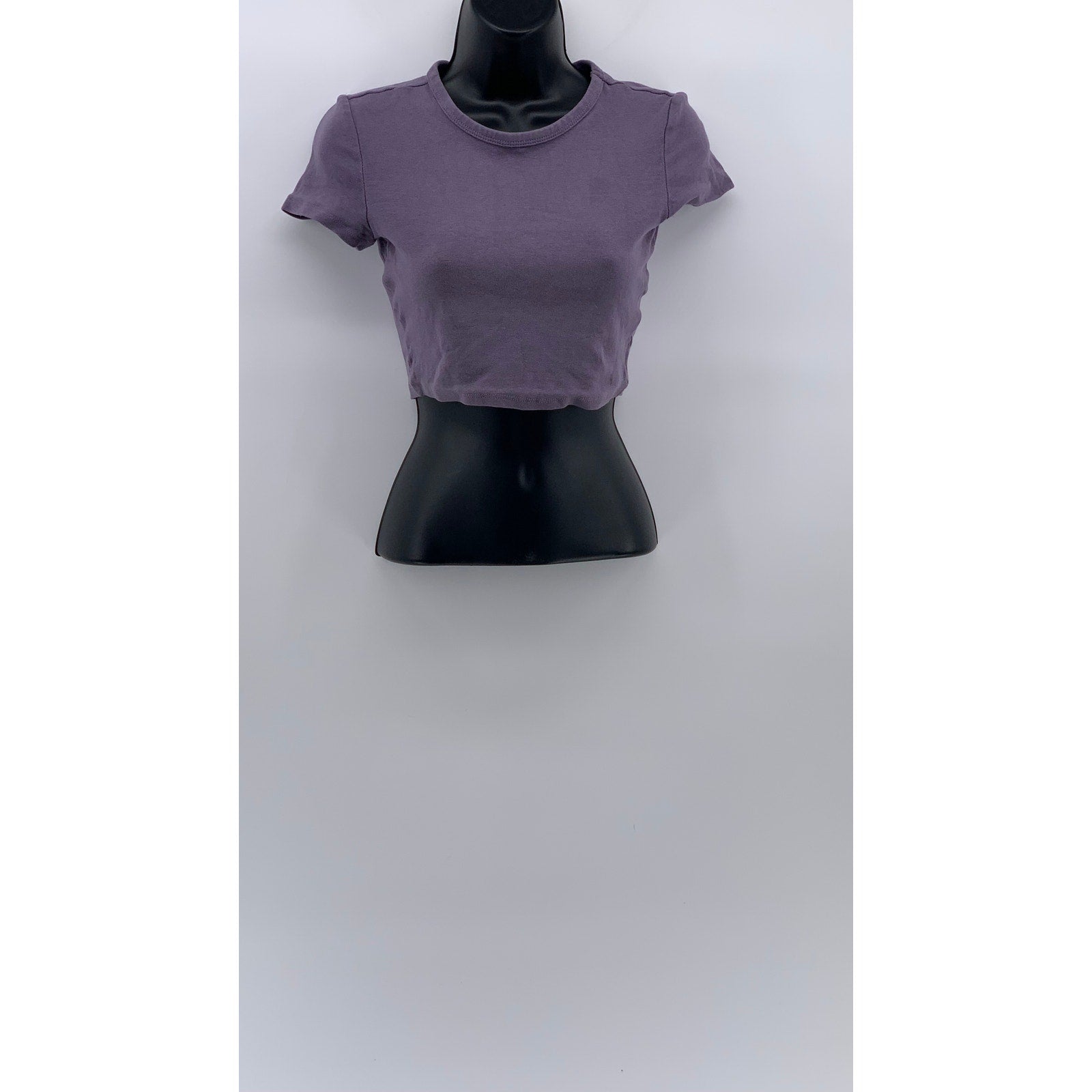 ZARA Women's Lavender Purple Casual Crewneck Short Sleeve Knit Cropped Top SZ S