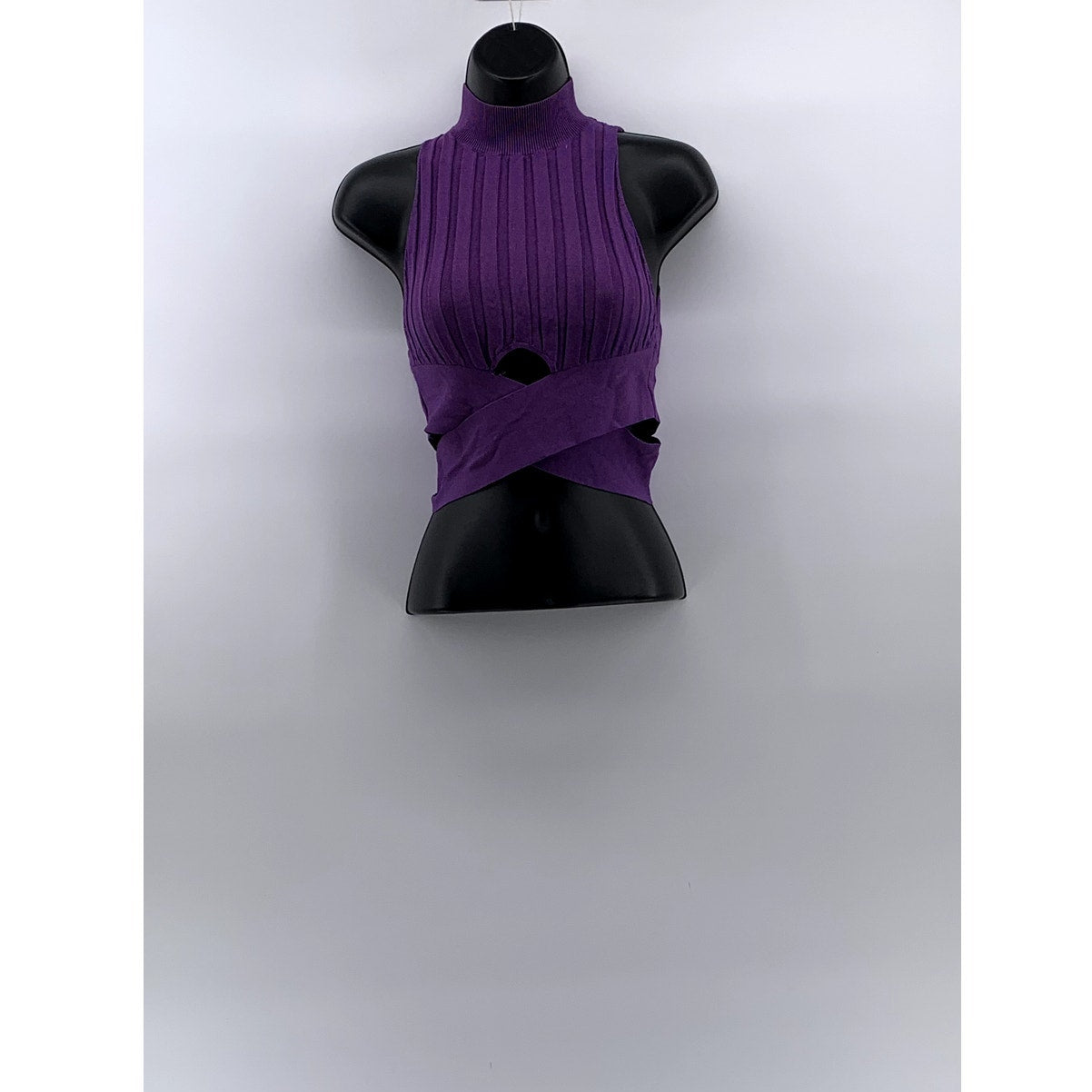 ZARA Women's Purple Mock-Neck Sleeveless Wide Rib Cross Hem Cropped Top SZ S