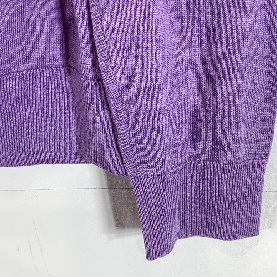 BANANA REPUBLIC Men's Purple V-Neck Merino Wool Pullover Sweater SZ L