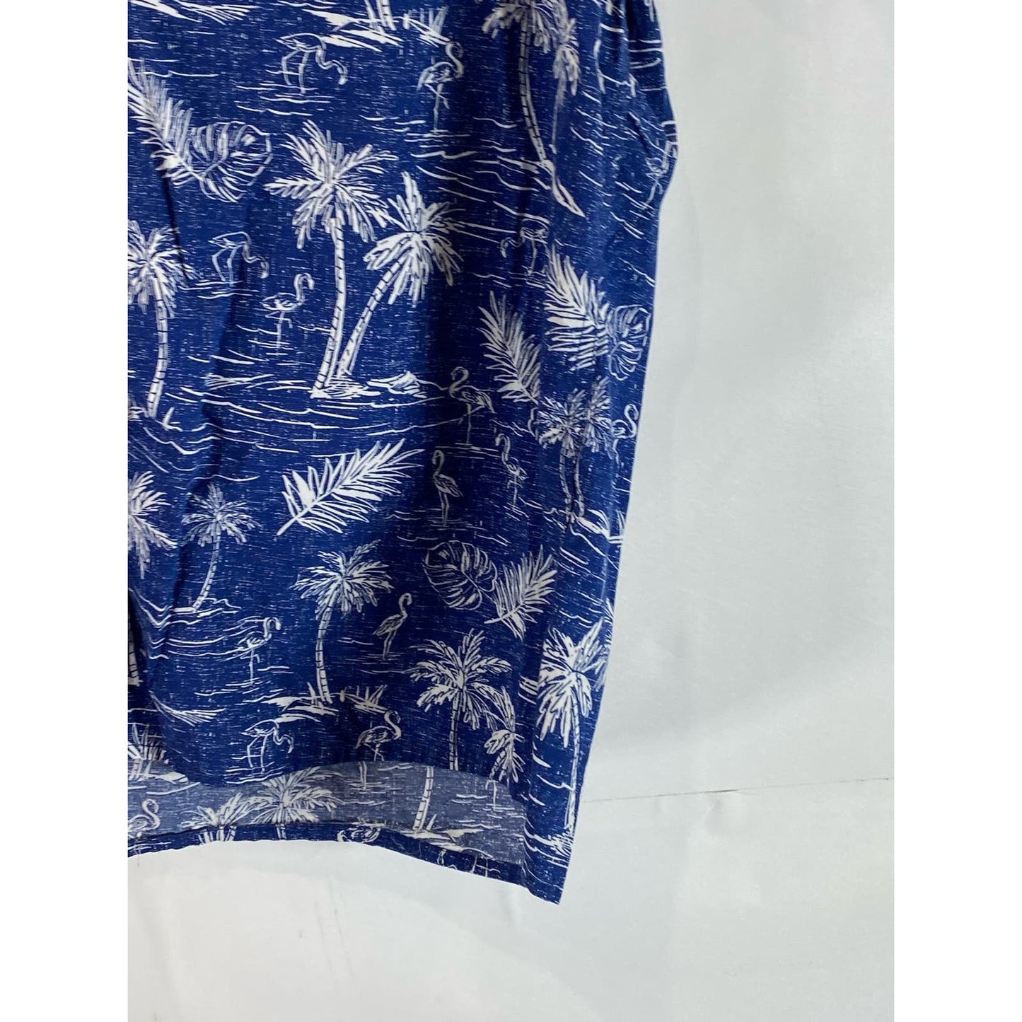 AMERICAN EAGLE Men's Blue Palm Tree Graphic Regular-Fit Button-Up Shirt SZ L