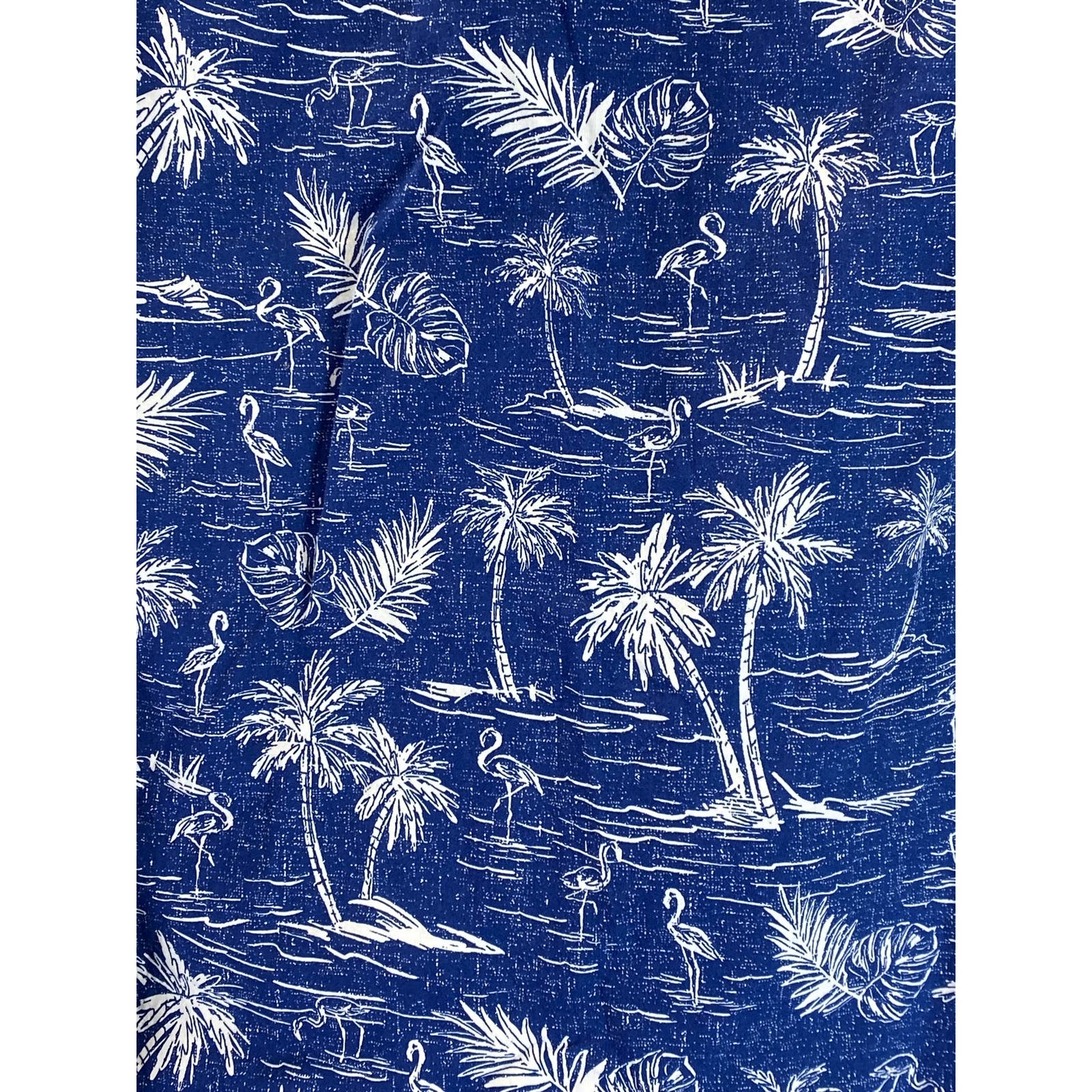 AMERICAN EAGLE Men's Blue Palm Tree Graphic Regular-Fit Button-Up Shirt SZ L