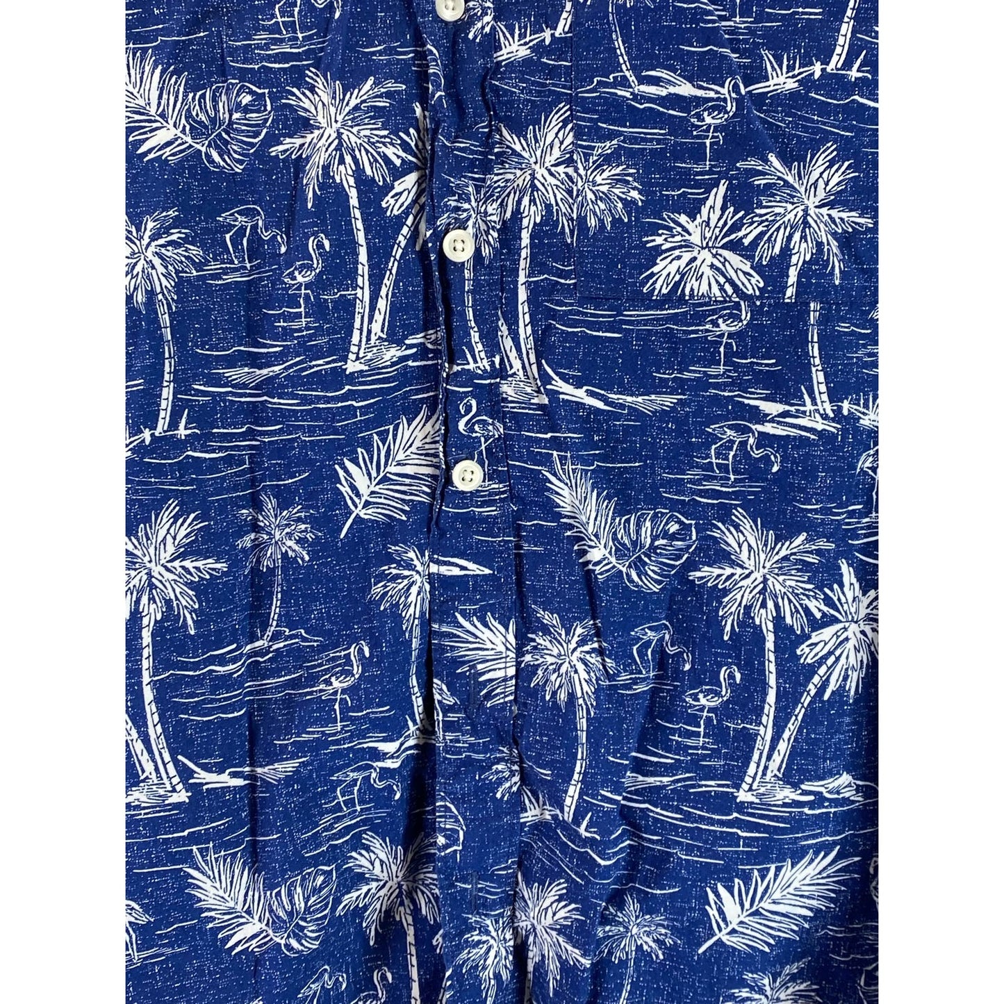 AMERICAN EAGLE Men's Blue Palm Tree Graphic Regular-Fit Button-Up Shirt SZ L