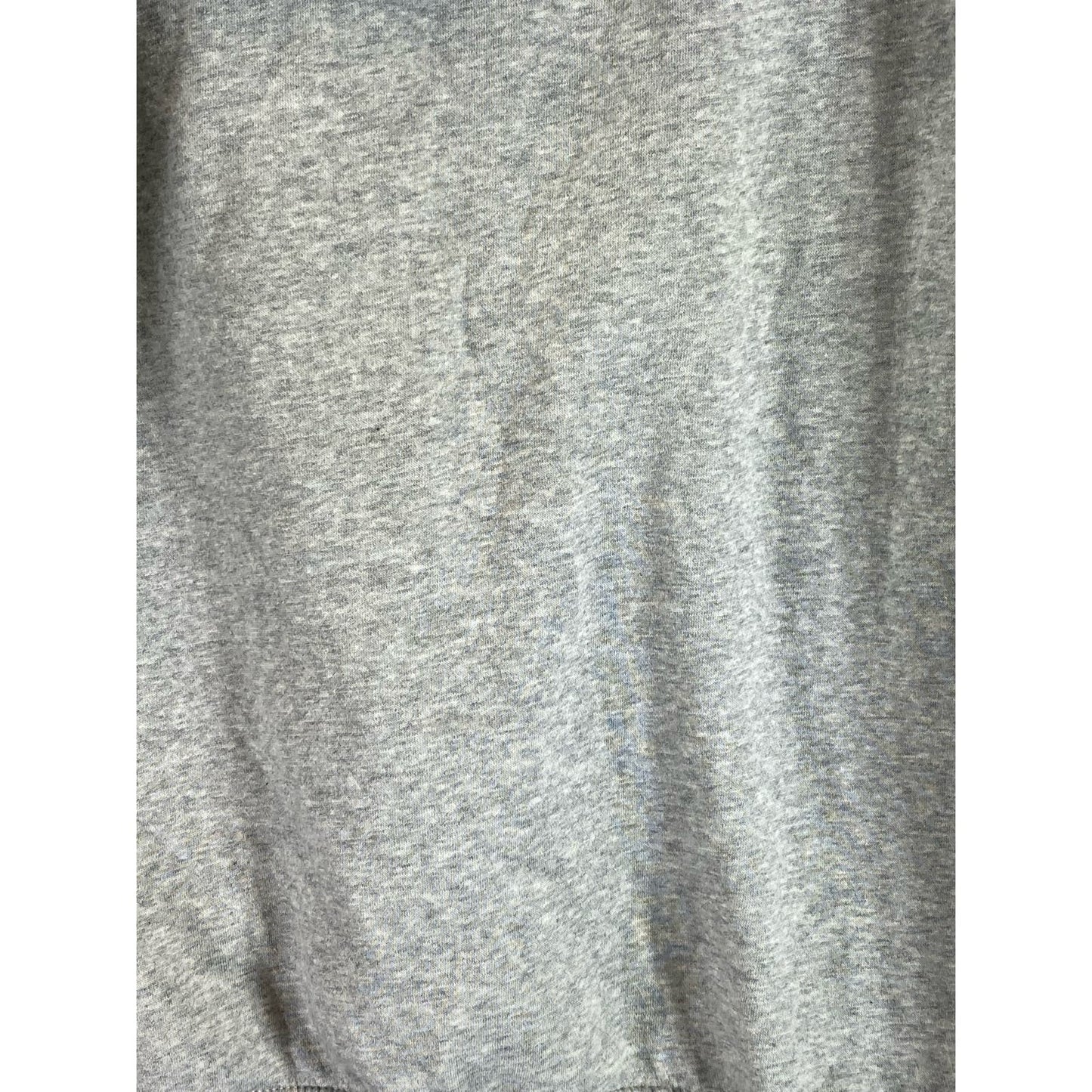 GOODFELLOW & CO Men's Light Gray Lipton Graphic Regular-Fit Pullover Hoodie SZ L
