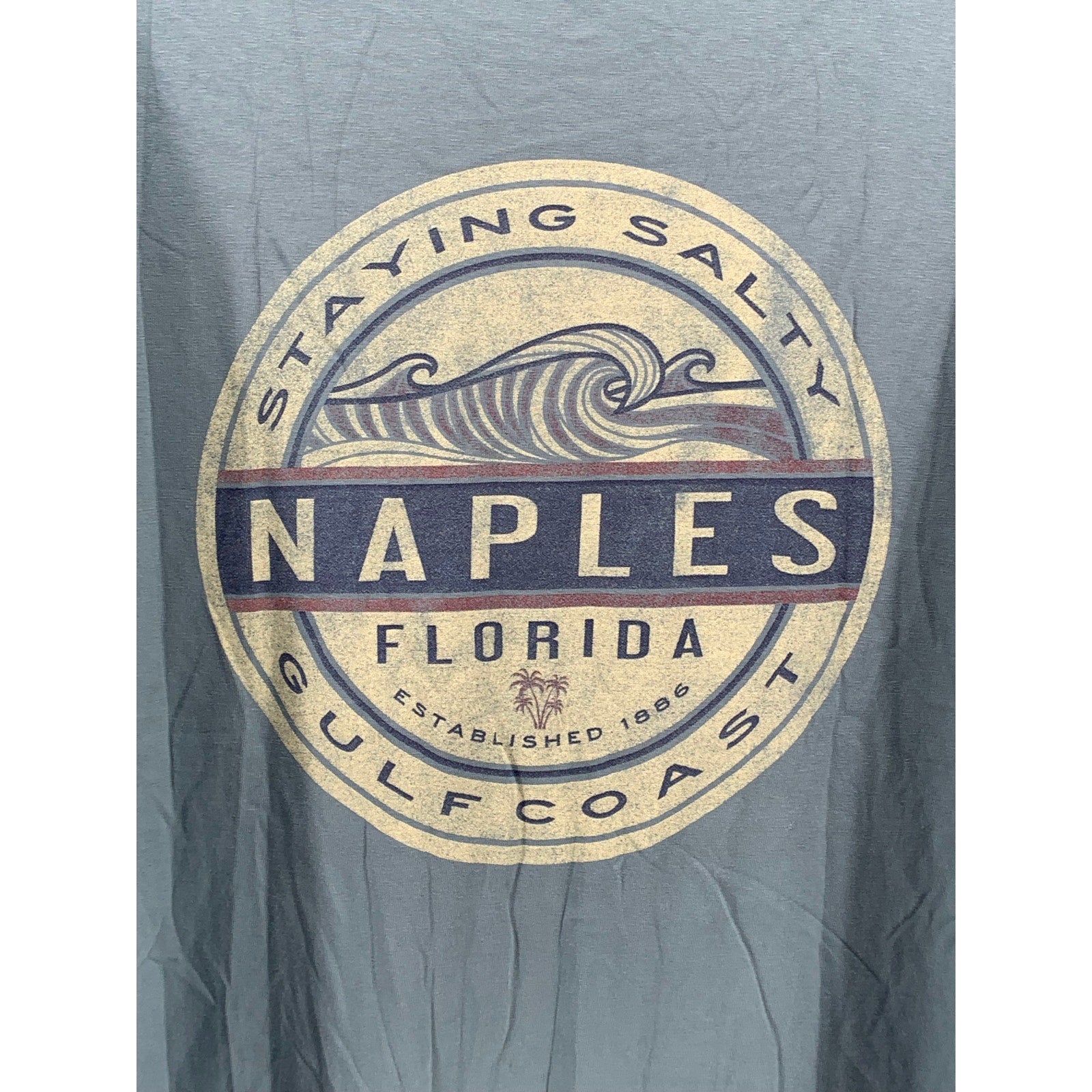 BLUE84 Men's Blue-Green Naples Florida Graphic Crewneck Cotton T-Shirt SZ L
