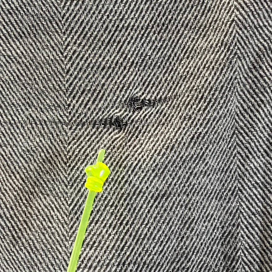 INC INTERNATIONAL CONCEPTS Women's Black Two-Tone Shine Scarf SZ OS